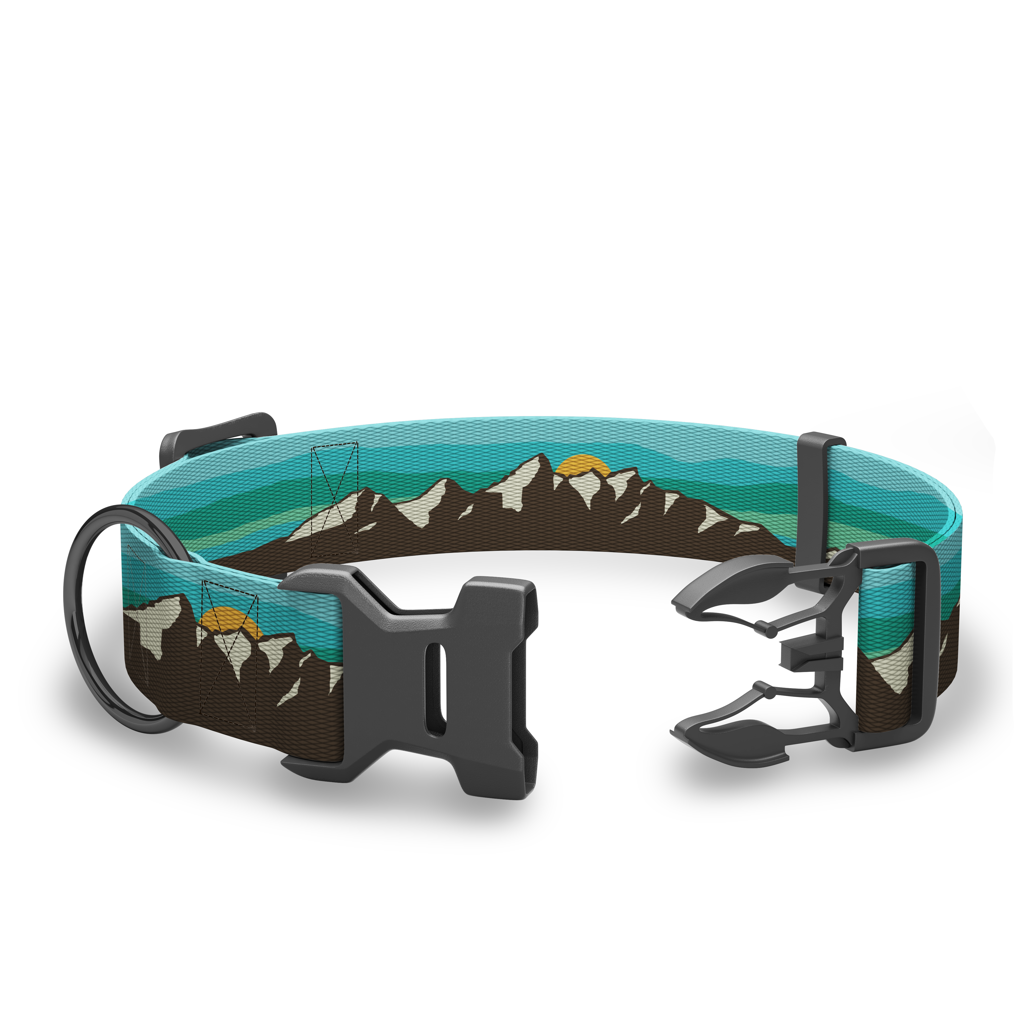 Wingo Outdoors - Coosa Dog Collar: Medium / Rainbow Trout